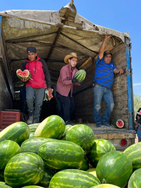 347256763_965901314825116_6206517549685759055_n